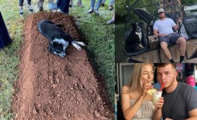 Imagine sfâşietoare: Un câine stă întins pe mormântul stăpânului, un tânăr de 22 de ani ucis de fiul unui judecător